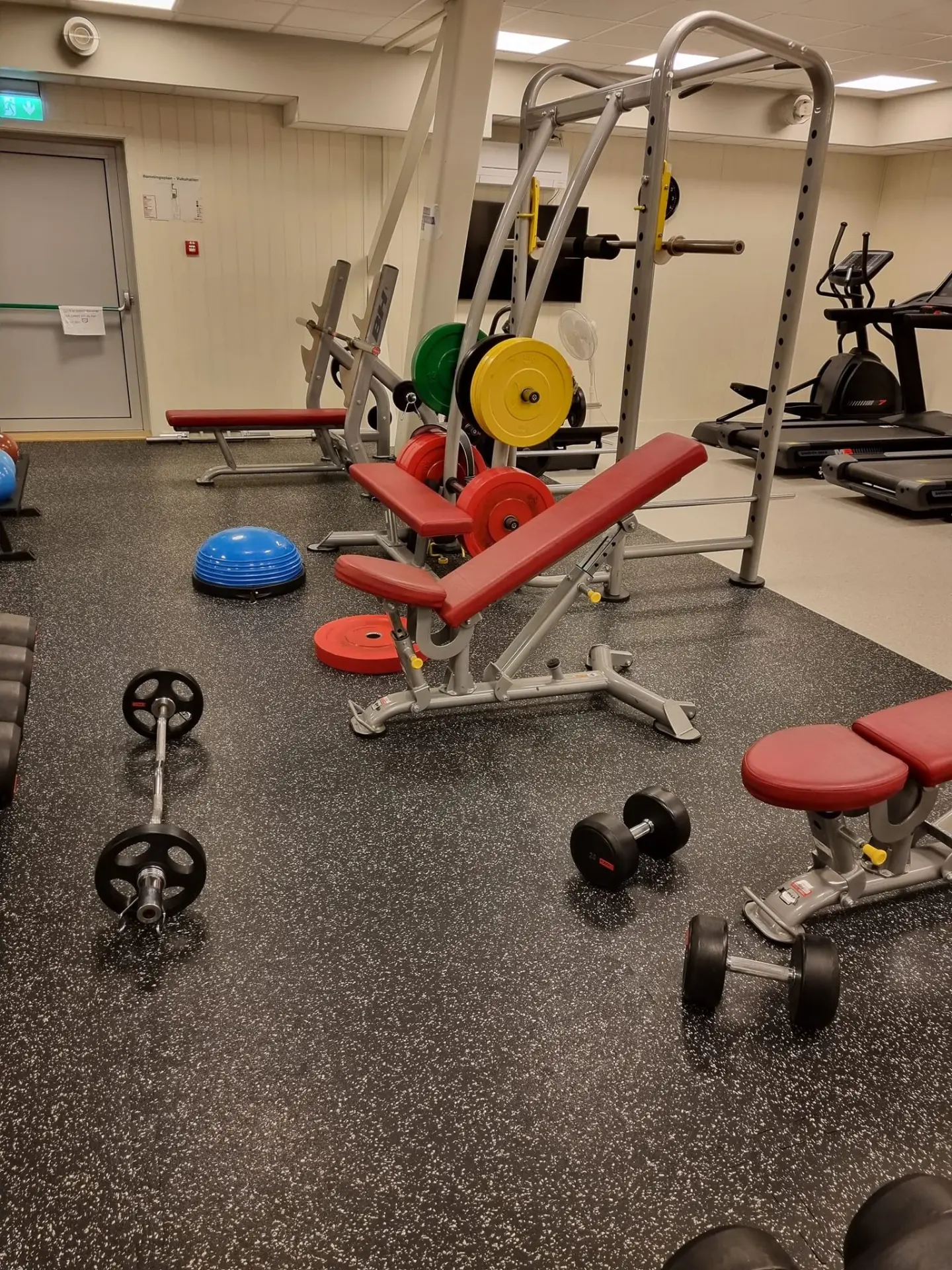 Treningsrom med frivekter, benker og kondisjonsapparater
